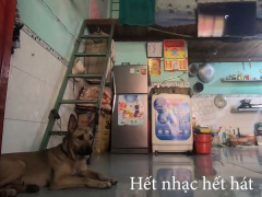 Ảnh bìa bài viết 799508