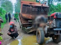 Ảnh bìa bài viết 799461