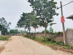 Ảnh bìa bài viết 799671