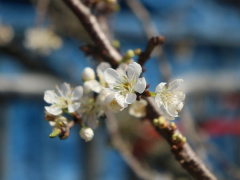 Ảnh bìa bài viết 799928