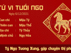 Ảnh bìa bài viết 799851