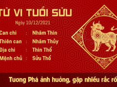 Ảnh bìa bài viết 800482