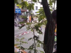 Ảnh bìa bài viết 800785