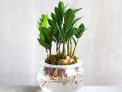 Ảnh bìa bài viết 800901