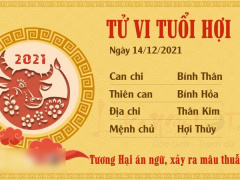Ảnh bìa bài viết 801031