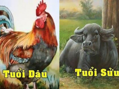 Ảnh bìa bài viết 801575
