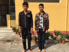 Ảnh bìa bài viết 801526