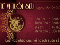 Ảnh bìa bài viết 801629