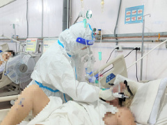 Ảnh bìa bài viết 801690