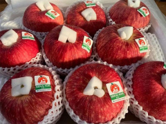 Ảnh bìa bài viết 801870