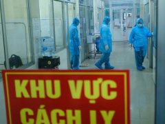Ảnh bìa bài viết 802464