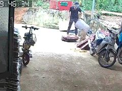 Ảnh bìa bài viết 802547