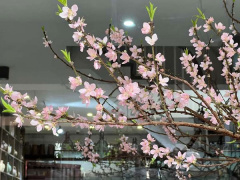 Ảnh bìa bài viết 802671