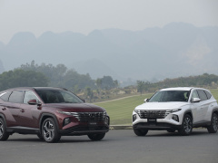 Ảnh bìa bài viết 802937