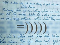 Ảnh bìa bài viết 802904