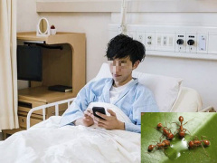 Ảnh bìa bài viết 803132