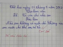 Ảnh bìa bài viết 803209