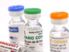 Ảnh bìa bài viết 803377