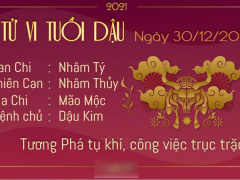 Ảnh bìa bài viết 803341