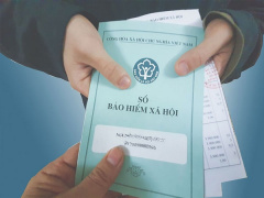 Ảnh bìa bài viết 803946
