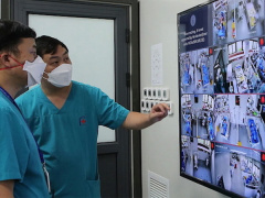 Ảnh bìa bài viết 803936