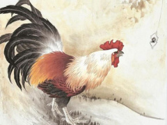 Ảnh bìa bài viết 804004