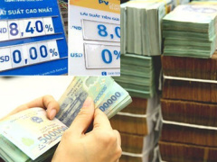 Ảnh bìa bài viết 803906