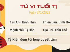 Ảnh bìa bài viết 803879