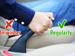 Ảnh bìa bài viết 804133