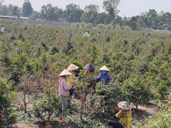 Ảnh bìa bài viết 804174