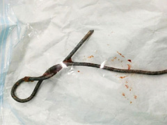 Ảnh bìa bài viết 804237