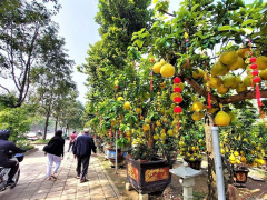 Ảnh bìa bài viết 804378