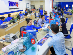Ảnh bìa bài viết 804807