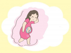 Ảnh bìa bài viết 804804