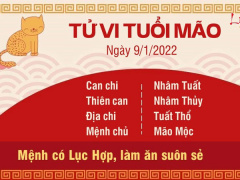 Ảnh bìa bài viết 804718