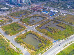 Ảnh bìa bài viết 805135