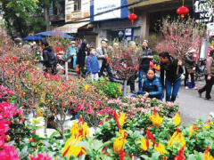 Ảnh bìa bài viết 805101