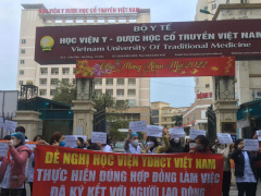 Ảnh bìa bài viết 805196