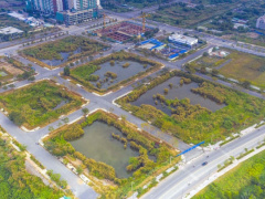 Ảnh bìa bài viết 805278