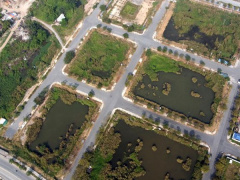 Ảnh bìa bài viết 805160