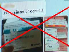 Ảnh bìa bài viết 805275