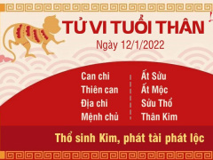 Ảnh bìa bài viết 805147