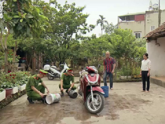 Ảnh bìa bài viết 805424