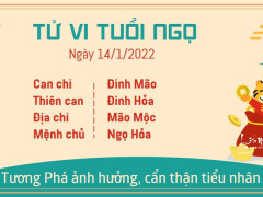 Ảnh bìa bài viết 805479