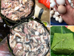 Ảnh bìa bài viết 805678