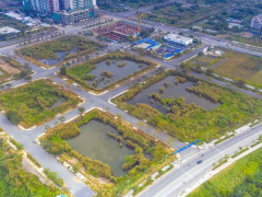 Ảnh bìa bài viết 805720