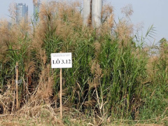 Ảnh bìa bài viết 805989