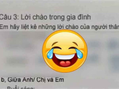 Ảnh bìa bài viết 805931