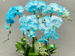Ảnh bìa bài viết 805881