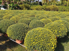 Ảnh bìa bài viết 806050